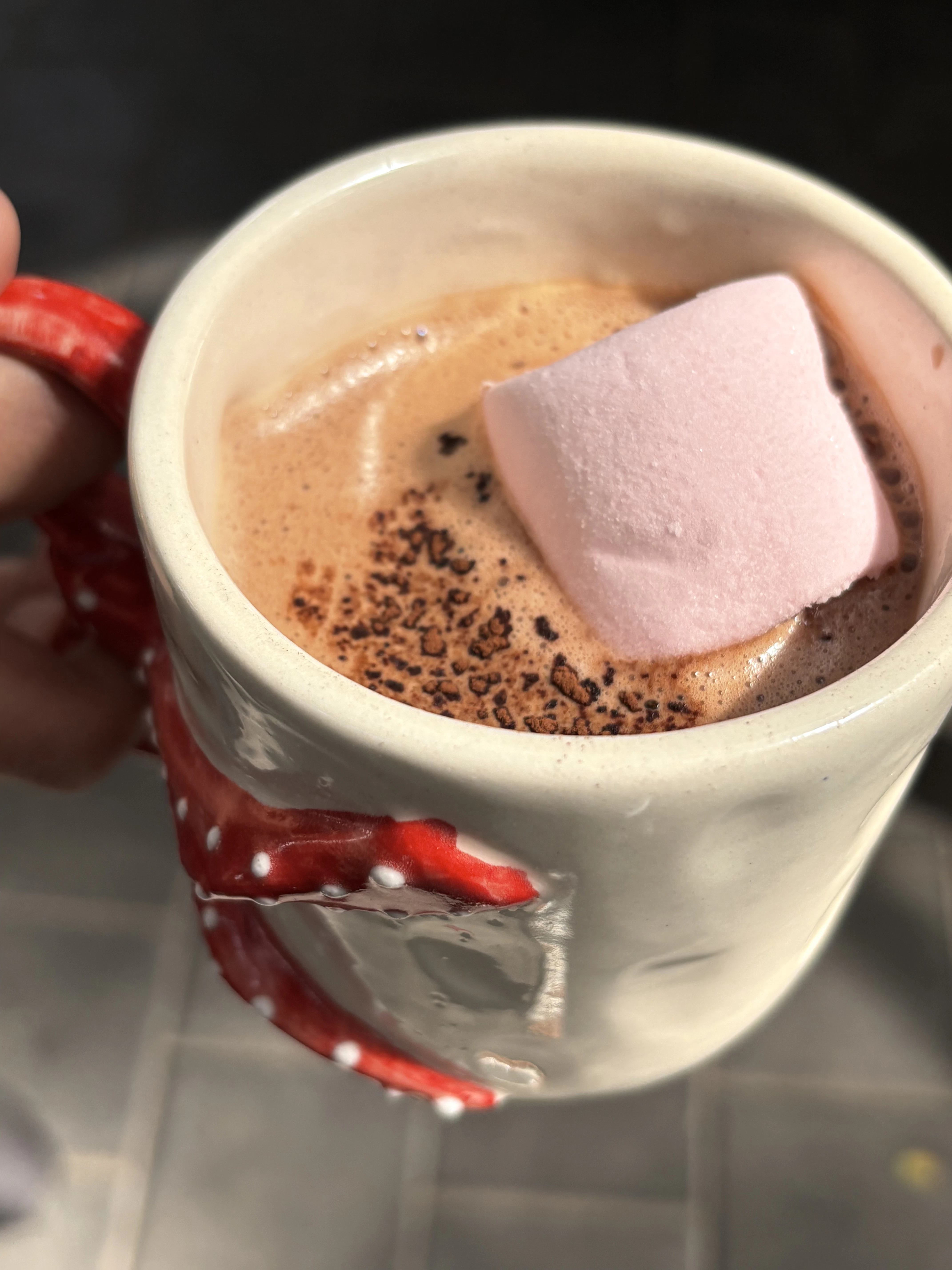a hand holding a mug of hot chocolate with a marshmallow