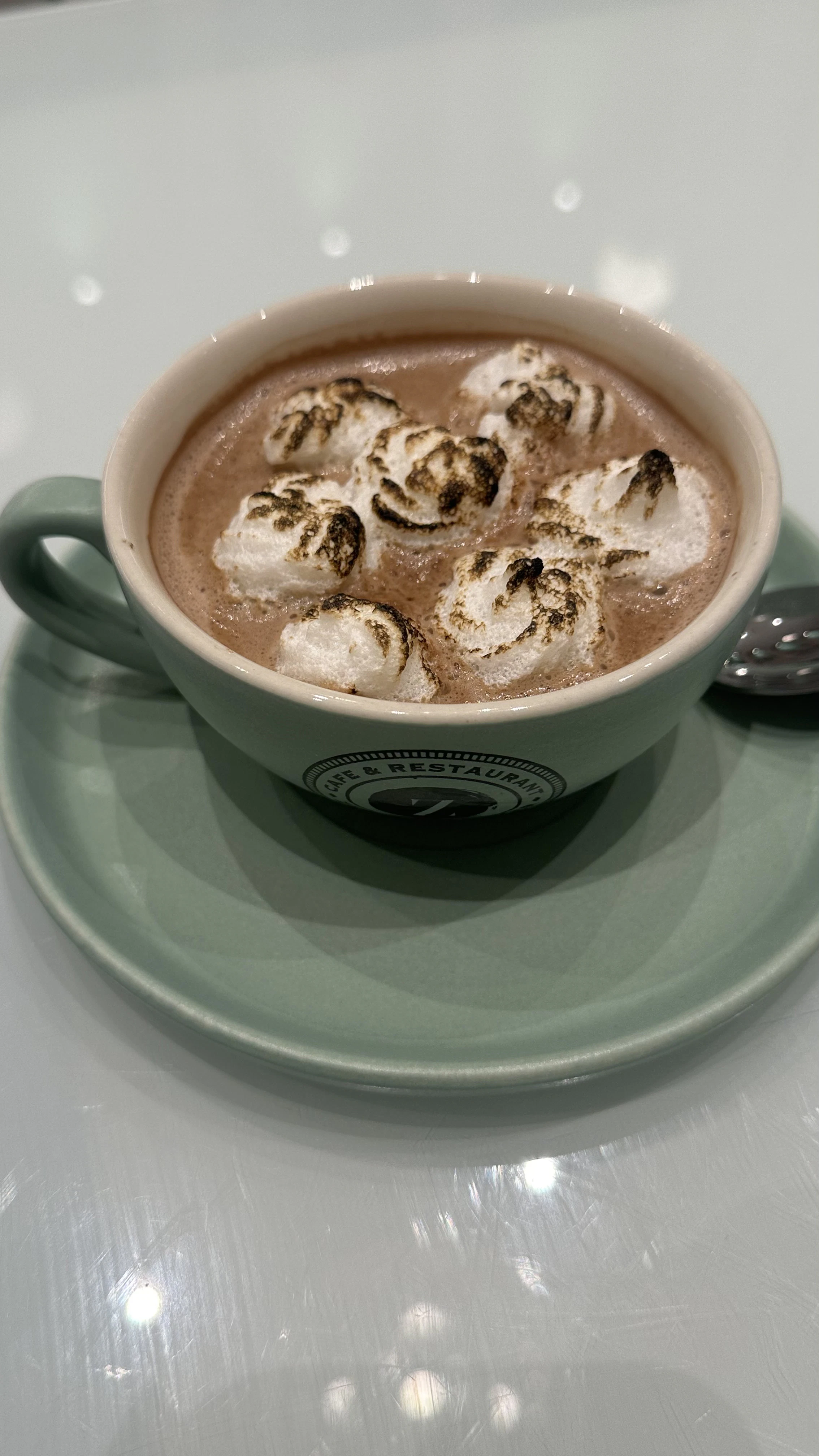 a cup of hot chocolate with marshmallows