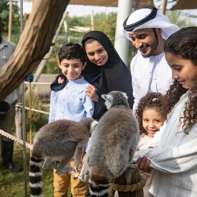 Al Ain Zoo Safari Guide: World’s Largest Man-made Safari In UAE
