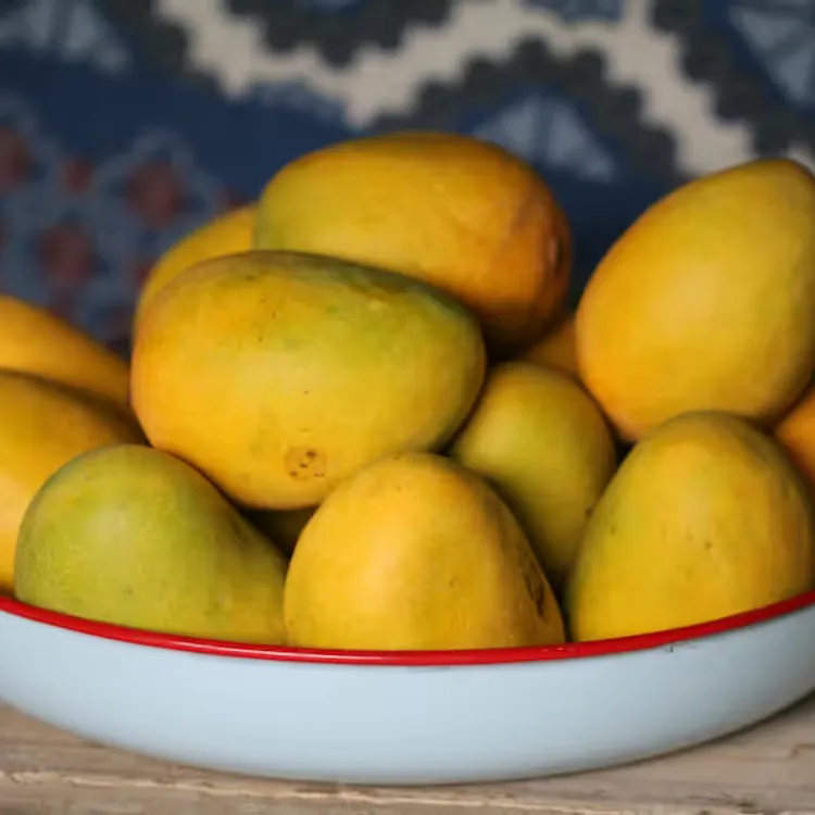 Your Complete Guide to Mango Season in Bengaluru 2026