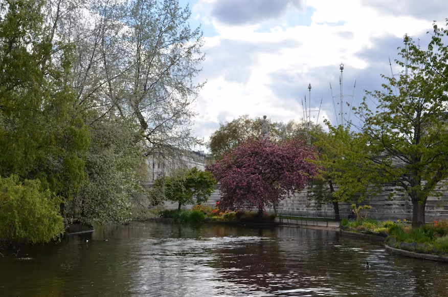 A Complete Guide To Leonardslee Lakes & Gardens London