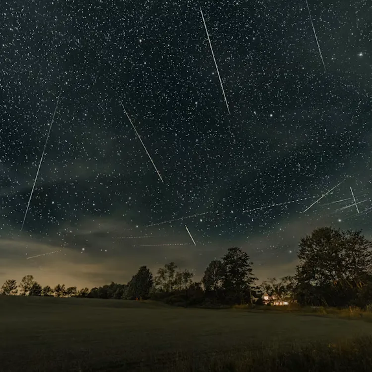 Perseid Meteor Shower 2026 Dubai: Best Time, Places and Viewing Tips
