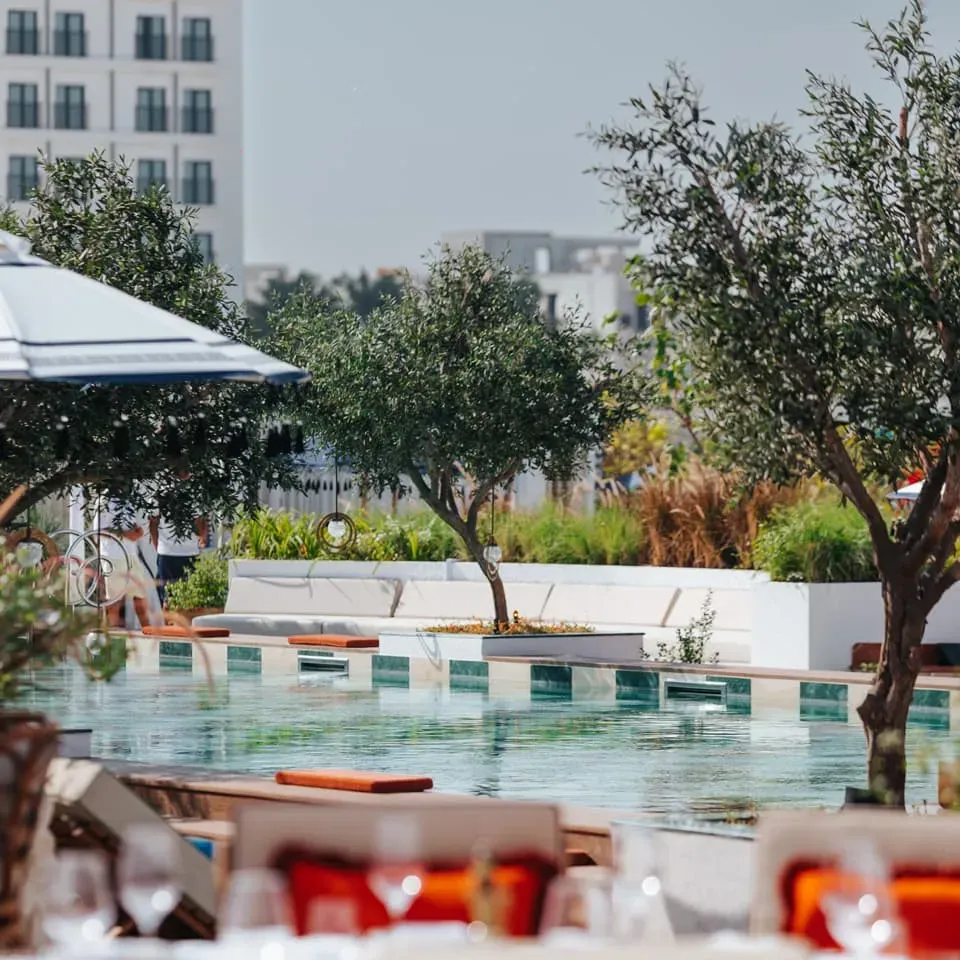 Best Greek Restaurants To Visit In Dubai — From Beach Clubs to Traditional Taverns