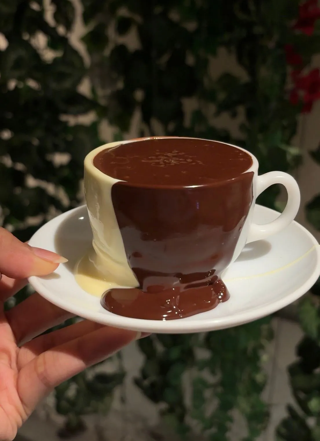 a hand holding a plate of chocolate and vanilla pudding